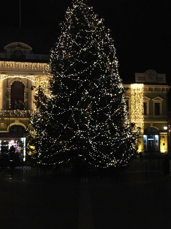 Apartman Rose Eger Bagian luar foto
